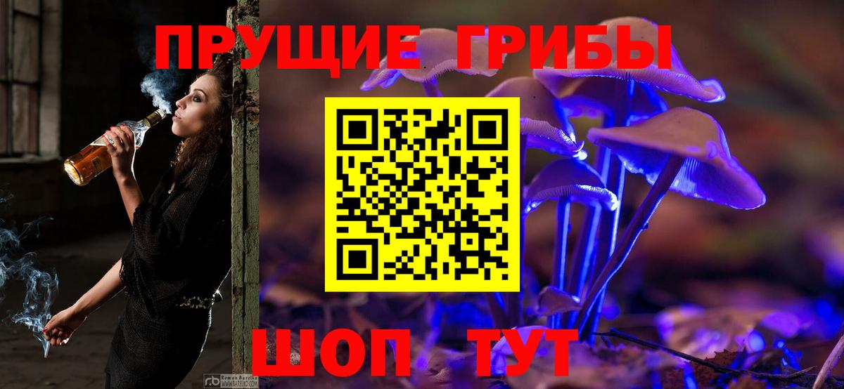 Псилоцибиновые грибы MAGIC MUSHROOMS Шатура